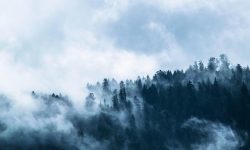 Wilderness Survival: 11 Nights Lost And Alone In The Woods