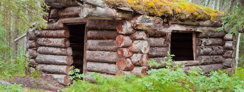 How To Build Your Own Survival Log Cabin In Five Steps