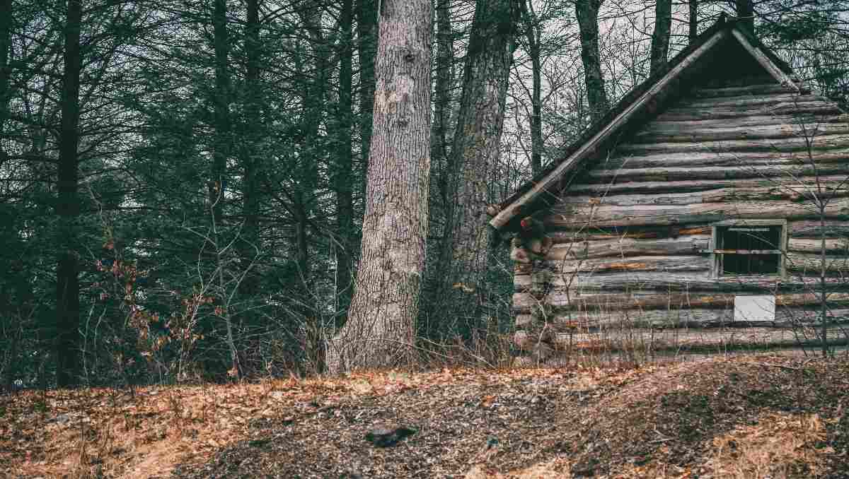 A survival cabin in the woods.
